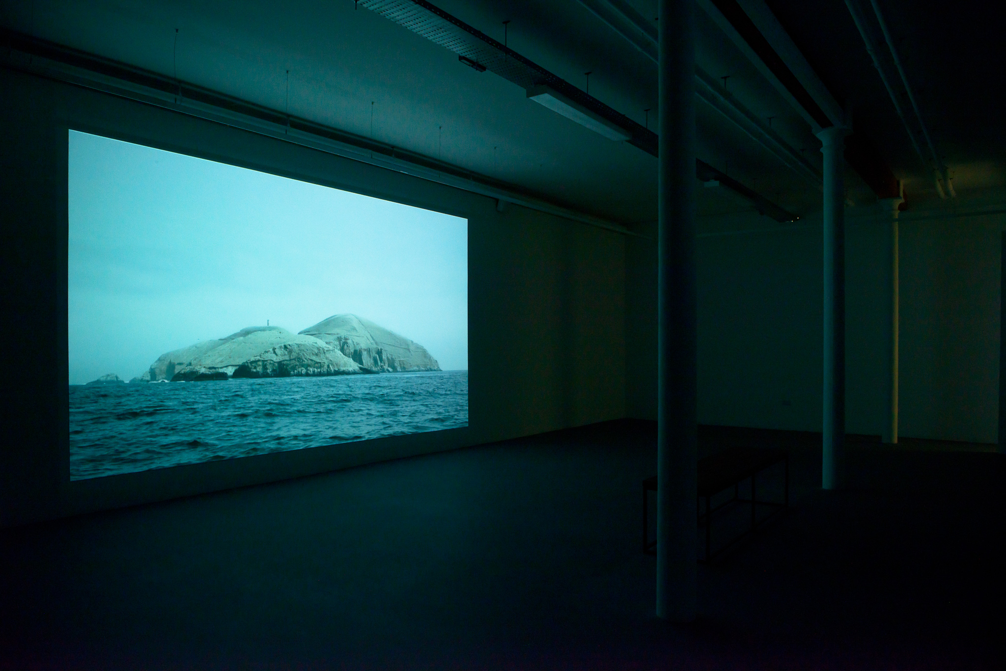 Dihn Q Le exhibition "The Colony" at Void Gallery