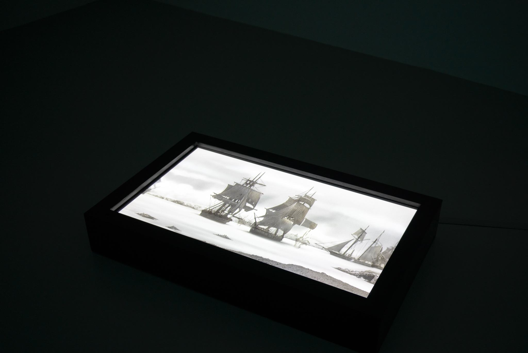 Dihn Q Le exhibition "The Colony" at Void Gallery