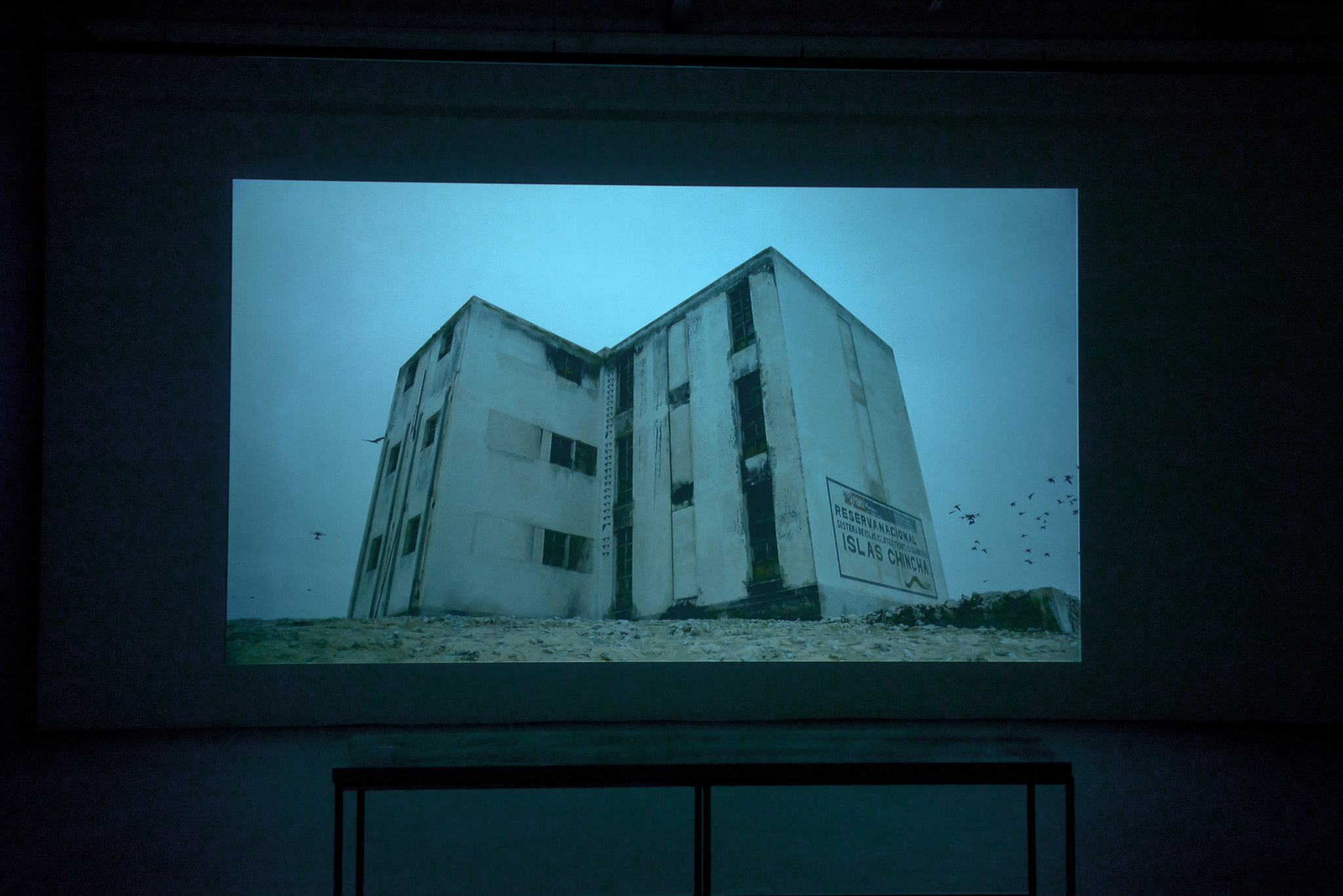 Dihn Q Le exhibition "The Colony" at Void Gallery