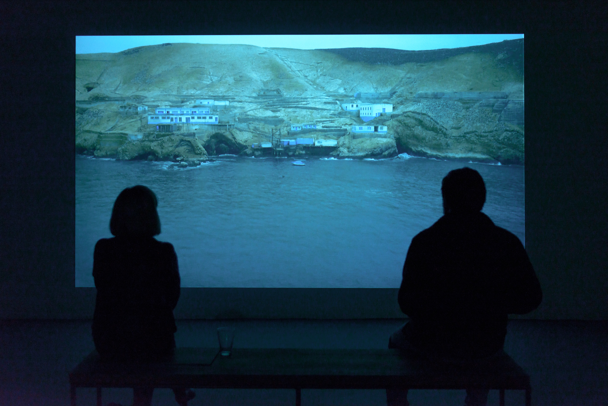 Dihn Q Le exhibition "The Colony" at Void Gallery