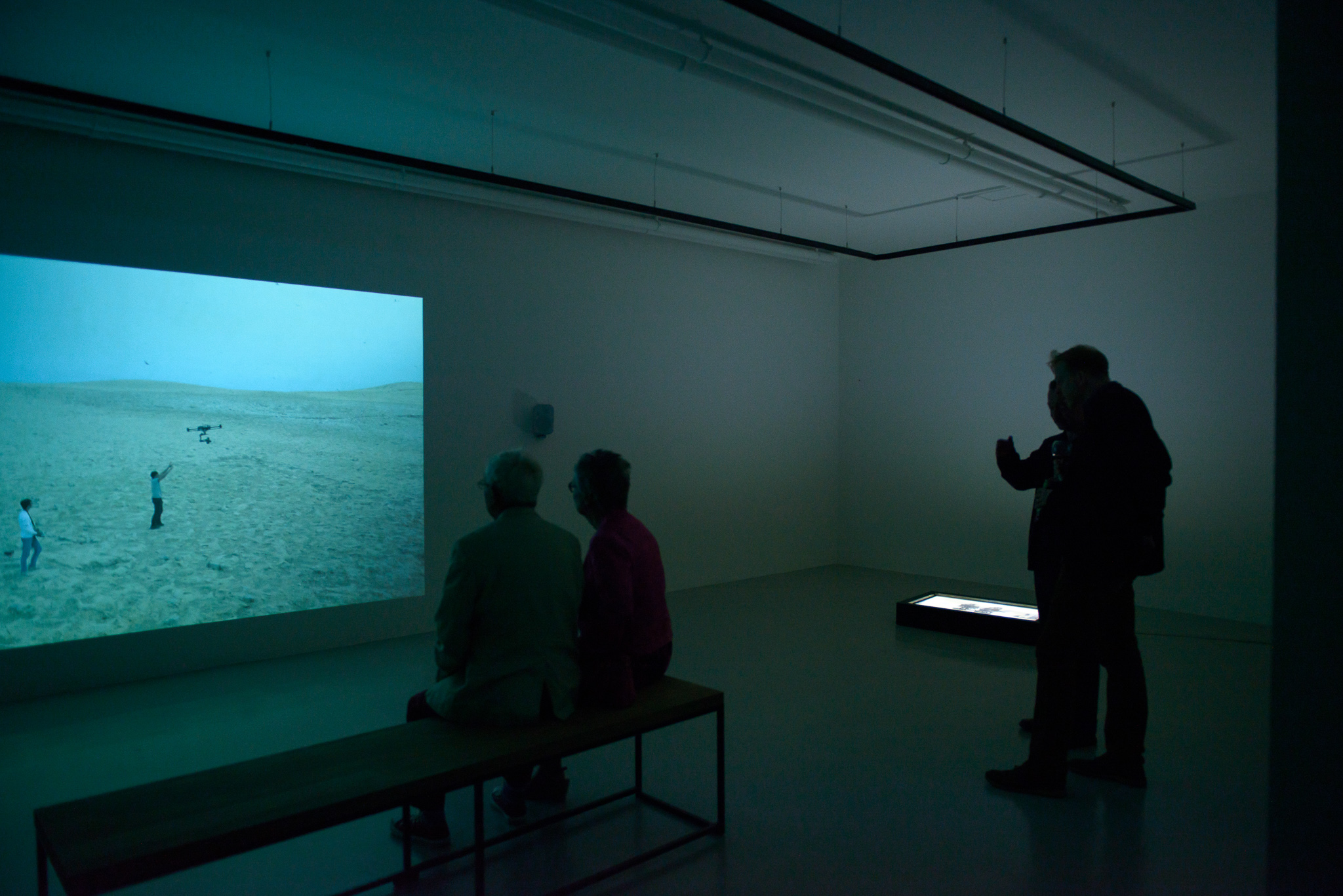 Dihn Q Le exhibition "The Colony" at Void Gallery