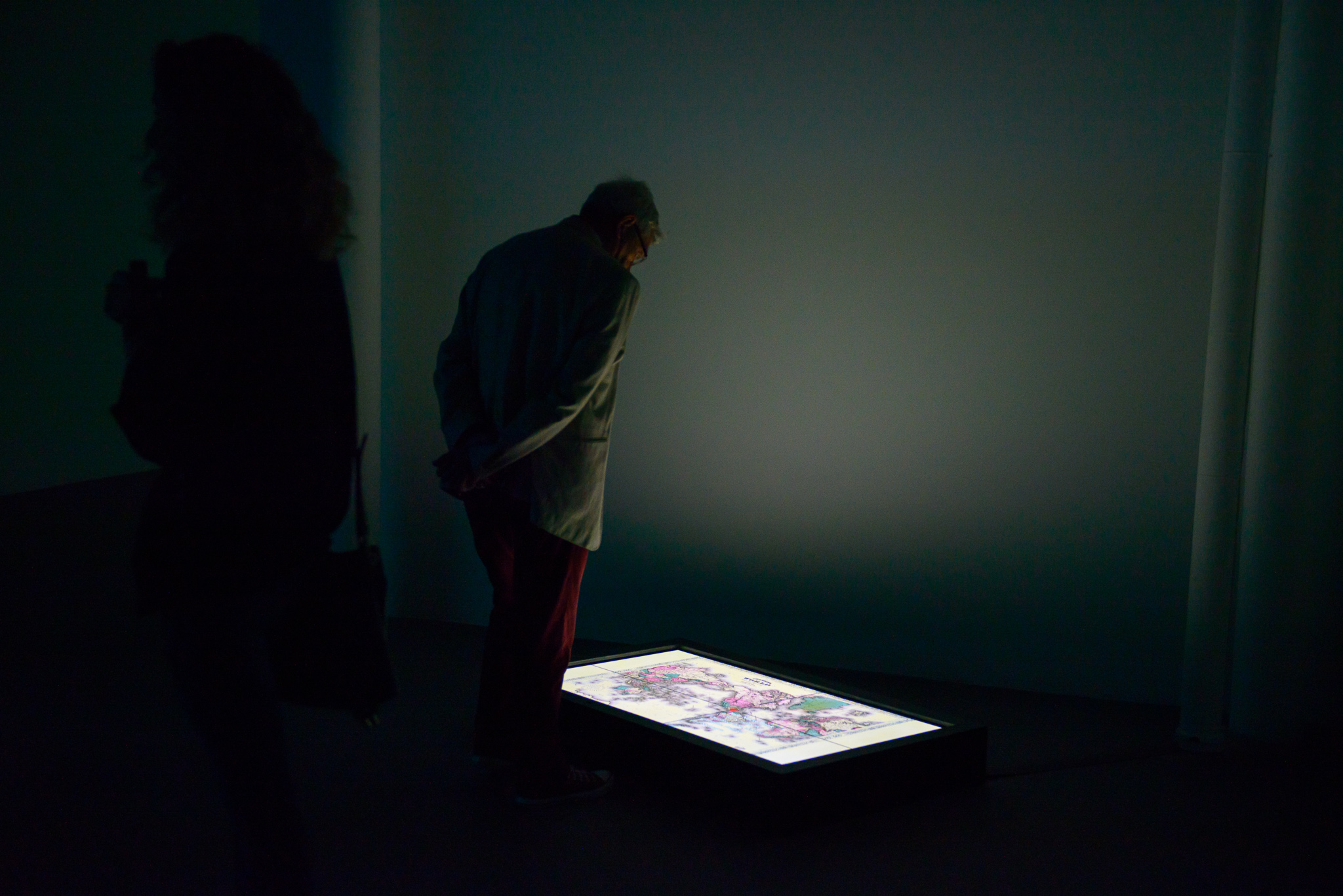 Dihn Q Le exhibition "The Colony" at Void Gallery